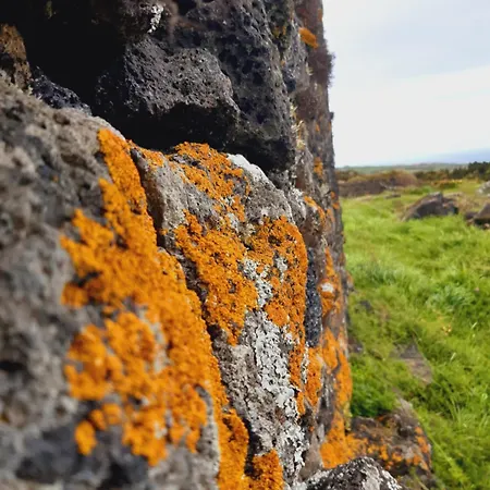 O Pomar Do Gasparinho Santa Cruz da Graciosa