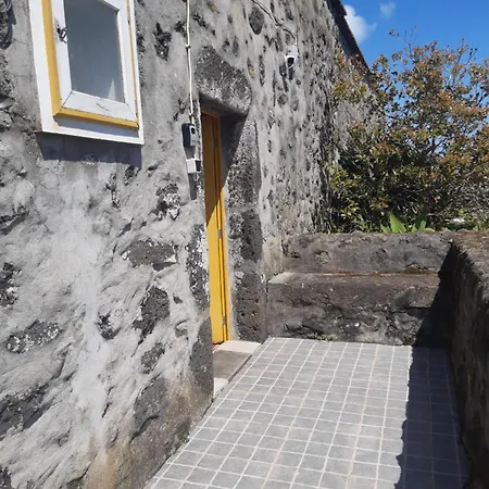 O Pomar Do Gasparinho *