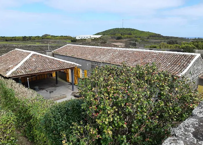 O Pomar Do Gasparinho