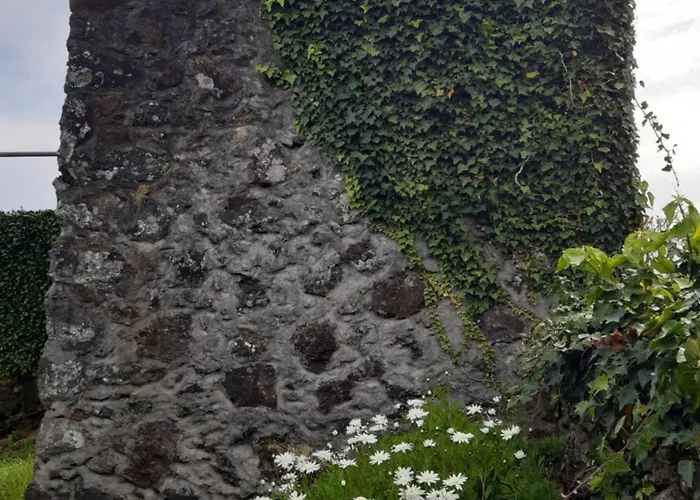 Ferienhaus O Pomar Do Gasparinho