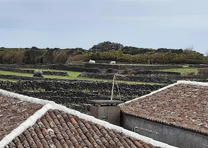 Ferienhaus O Pomar Do Gasparinho