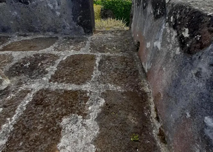 Ferienhaus O Pomar Do Gasparinho Santa Cruz da Graciosa