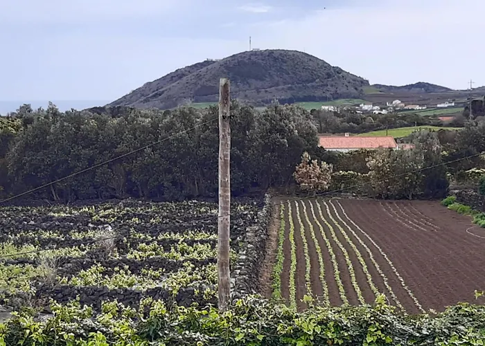 O Pomar Do Gasparinho Santa Cruz da Graciosa
