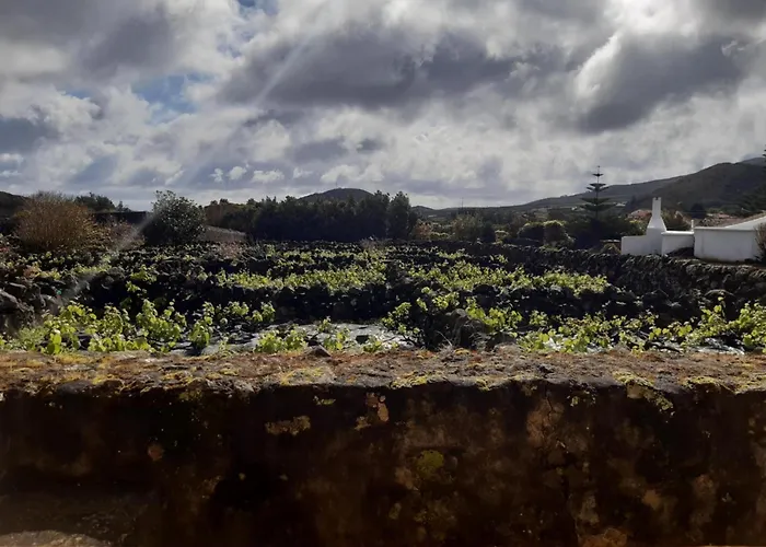 Ferienhaus O Pomar Do Gasparinho Santa Cruz da Graciosa