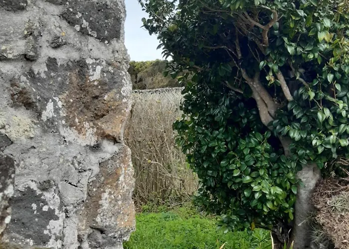 Ferienhaus O Pomar Do Gasparinho *