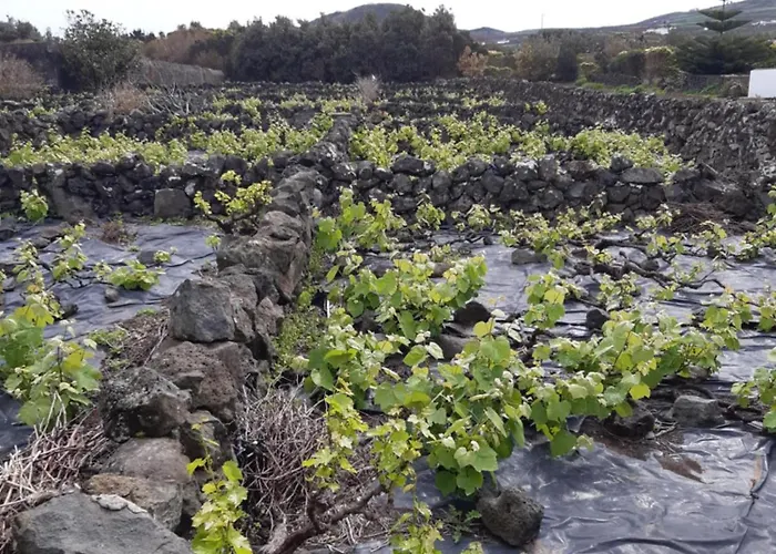 O Pomar Do Gasparinho Ferienhaus Santa Cruz da Graciosa
