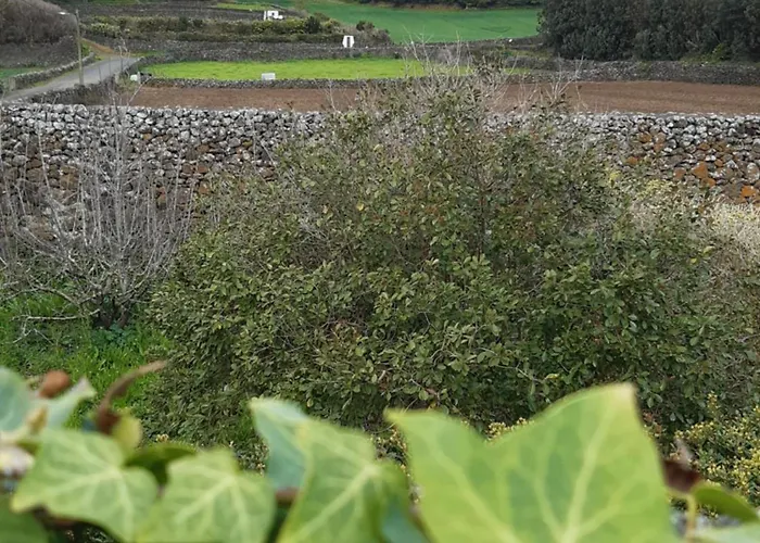 O Pomar Do Gasparinho *
