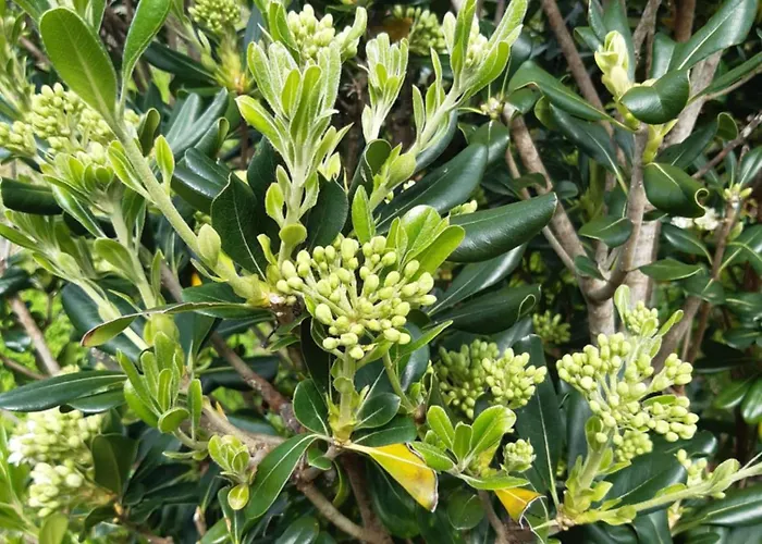 O Pomar Do Gasparinho Ferienhaus *