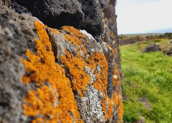 O Pomar Do Gasparinho Santa Cruz da Graciosa