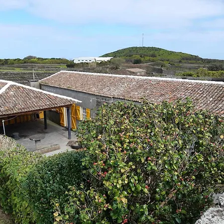 O Pomar Do Gasparinho