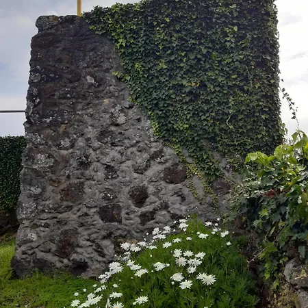 Ferienhaus O Pomar Do Gasparinho