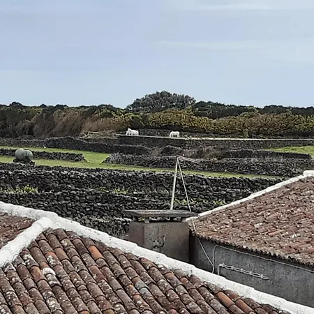 Ferienhaus O Pomar Do Gasparinho