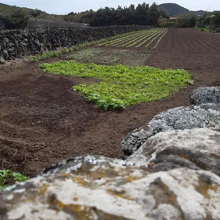 O Pomar Do Gasparinho Prázdninový dům Santa Cruz da Graciosa