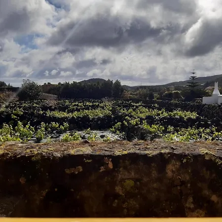 Ferienhaus O Pomar Do Gasparinho Santa Cruz da Graciosa