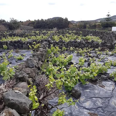 O Pomar Do Gasparinho Prázdninový dům Santa Cruz da Graciosa
