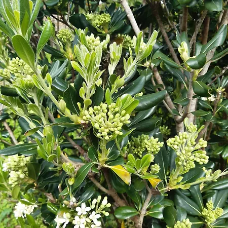 O Pomar Do Gasparinho Prázdninový dům *